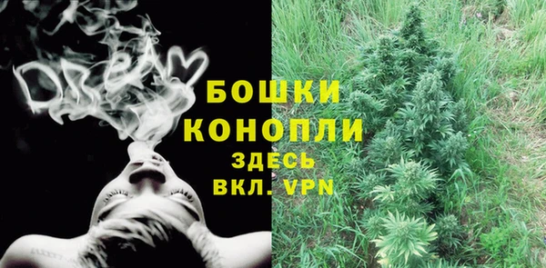 ГАЛЛЮЦИНОГЕННЫЕ ГРИБЫ Алексеевка