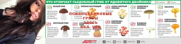 не бодяженный Аркадак