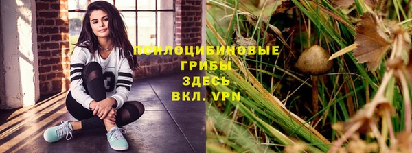 дживик Армянск