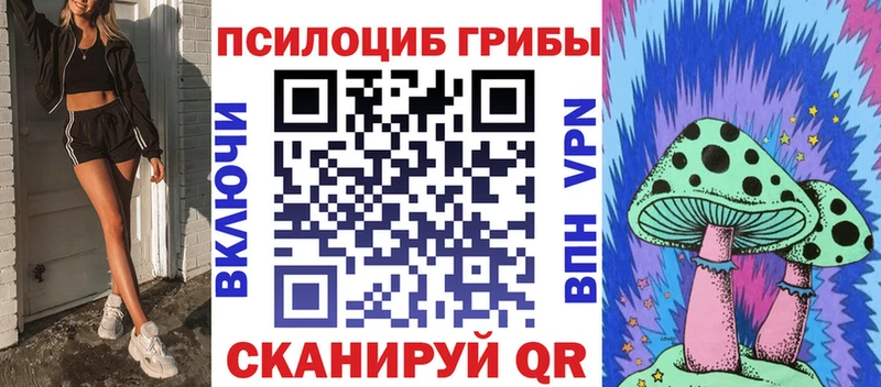 цены   Саки  Галлюциногенные грибы Psilocybine cubensis 